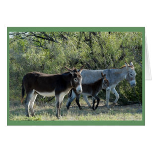 Cartão "Família Burro"