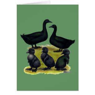 Cartão Família Cayuga Duck