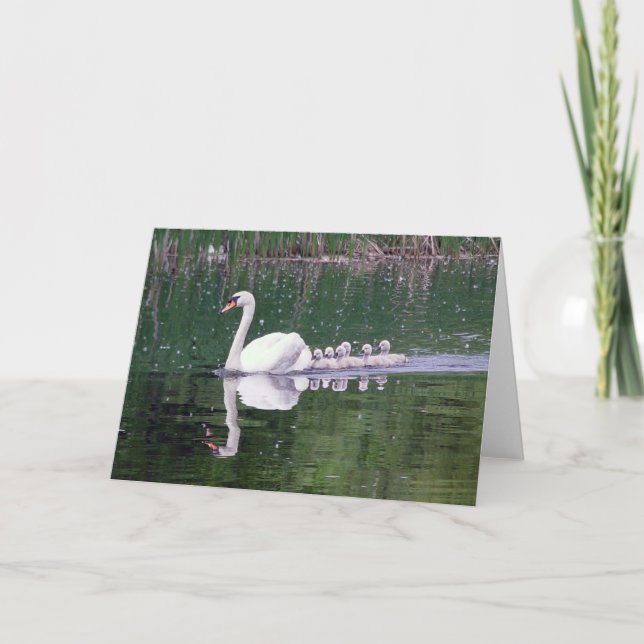 Cartão Família De Cisnes (Frente)
