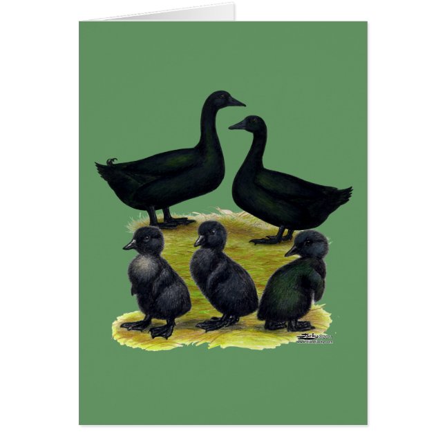 Cartão Família de Pato Cayuga (Frente)