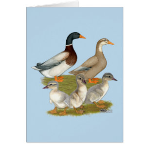 Cartão Família de Patos da Saxónia