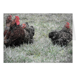 Cartão Família de Ricos