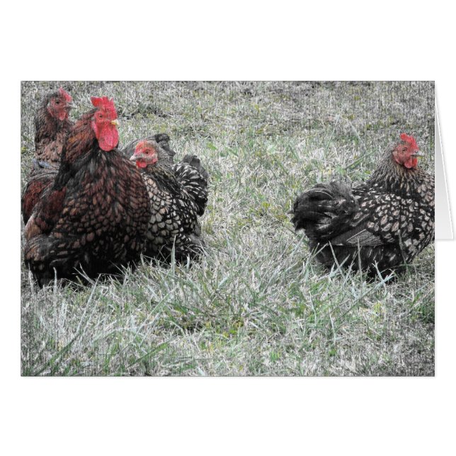 Cartão Família de Ricos (Frente Horizontal)