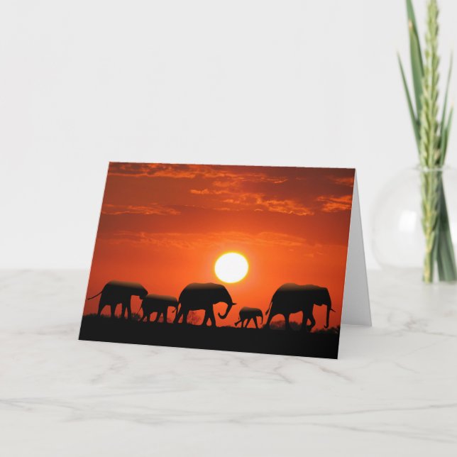 Cartão Família do elefante (Frente)