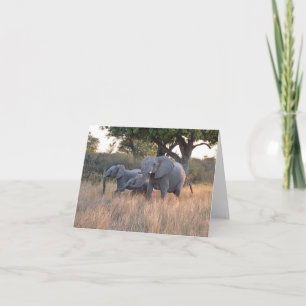 CARTÃO FAMÍLIA ELEPHANT