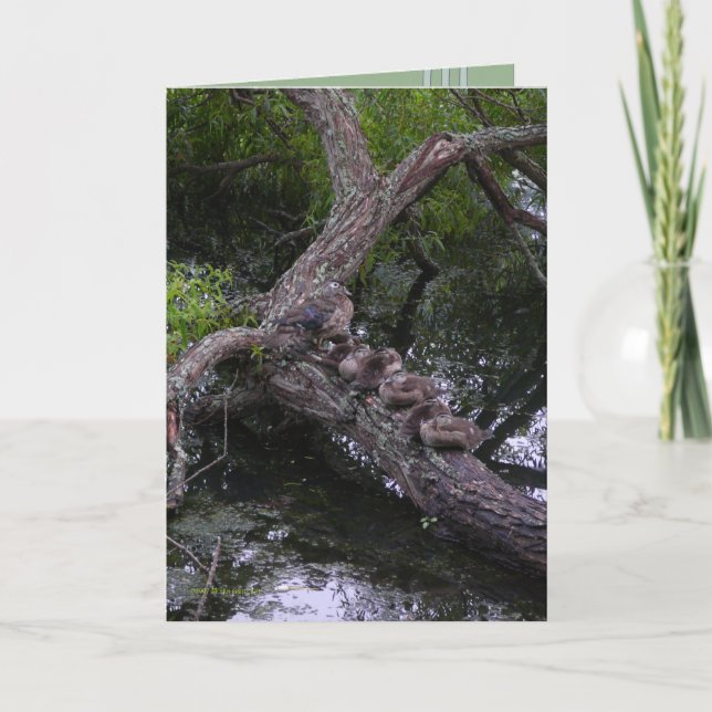 Cartão Família em repouso (Frente)