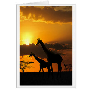 Cartão Família Giraffe 2