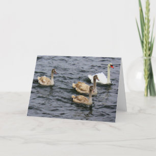 Cartão Família Swan