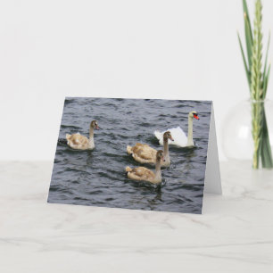 Cartão Família Swan
