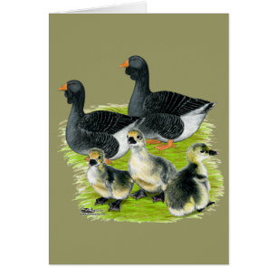 Cartão Família Toulouse Goose