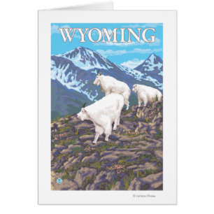 Cartão Família White Mountain Goat Wyoming