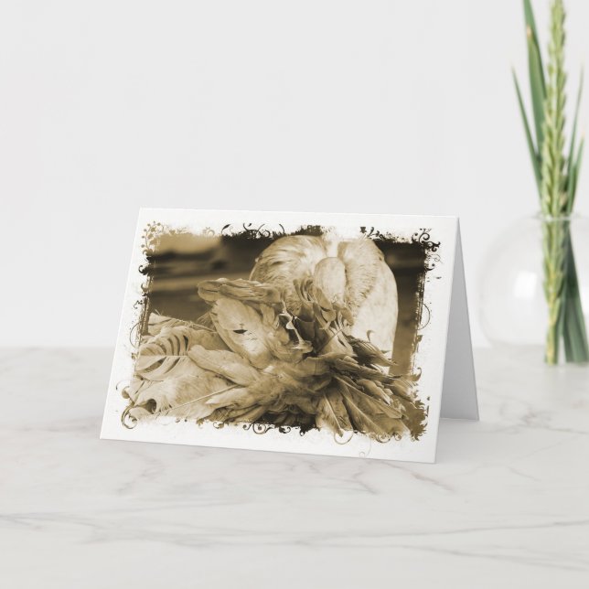 Cartão Fantail Pigeon (Frente)