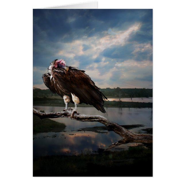 Cartão Fantasia do abutre (Frente)