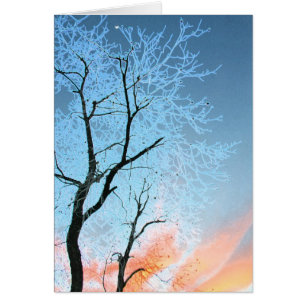 Cartão Faraway Moon