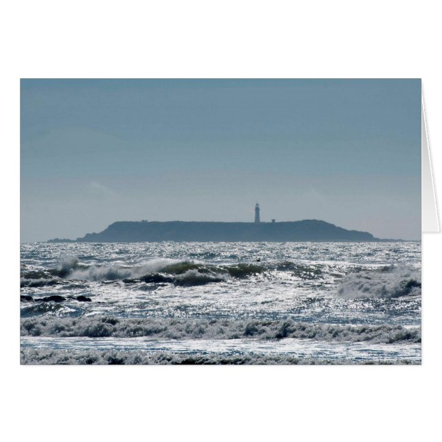 Cartão Farol da Ilha de Destruição de Ruby Beach (Frente Horizontal)