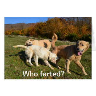 Cartão Farting