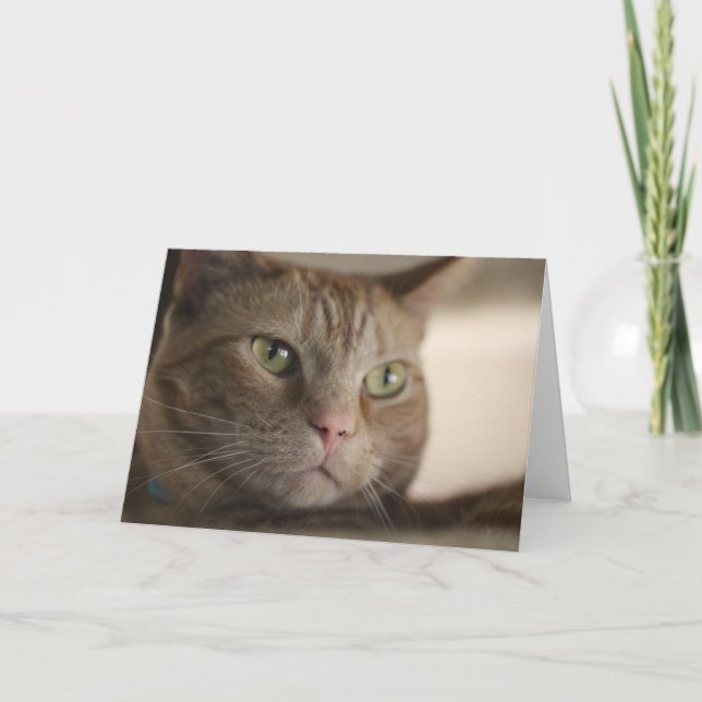 Cartão Fascinado (Frente)