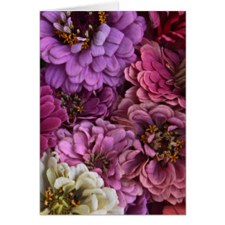 Cartão Fatia do Zinnia