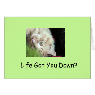 Cartão Fatos peludos gordos