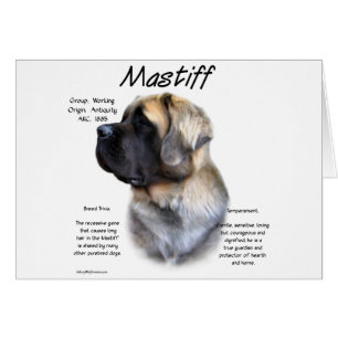 Cartão Fawn Fluffy Mastiff Histórico