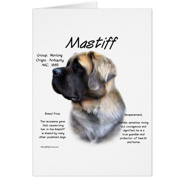 Cartão Fawn Fluffy Mastiff Histórico (Frente)