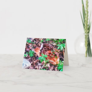CARTÃO FAWN GREETING CARD