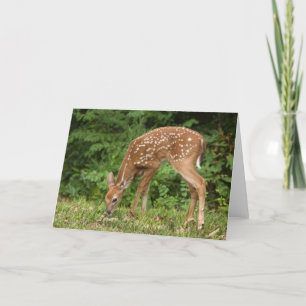 Cartão Fawn Greeting Card No. 1