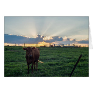 Cartão Fazenda
