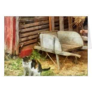 Cartão Fazenda Cat