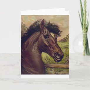 Cartão fazenda de cavalos rancho passeio esportes equinos
