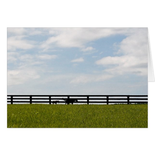 Cartão Fazenda de Stallion (Frente Horizontal)