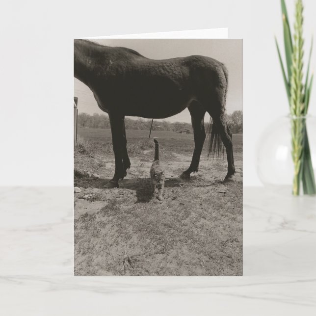 CARTÃO FAZENDA II (Frente)