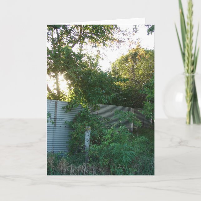 Cartão Fazenda sobreplantada (Frente)