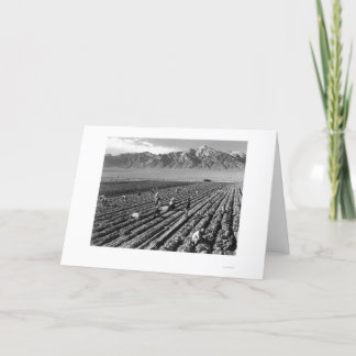 Cartão Fazenda, trabalhadores de fazenda, Mt. Williamson