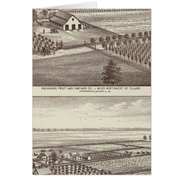 Cartão Fazendas Tulare (Frente)