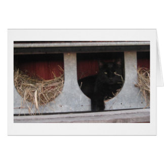 Cartão fazendo uma pausa