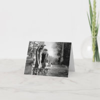 Fazer com que ele conte a mensagem Dentro do cartã