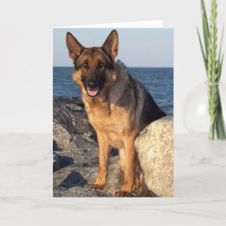 Cartão Fazer Meu Dia