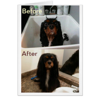 CARTÃO FÉ ANTES E DEPOIS