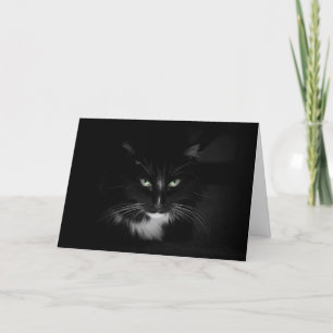 Cartão Fearsome black cat