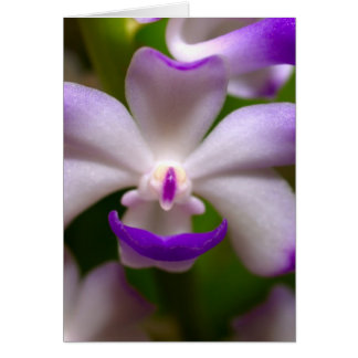 Cartão fechado com a flor de orquídea