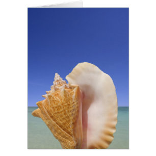 Cartão Fechamento da casca do mar