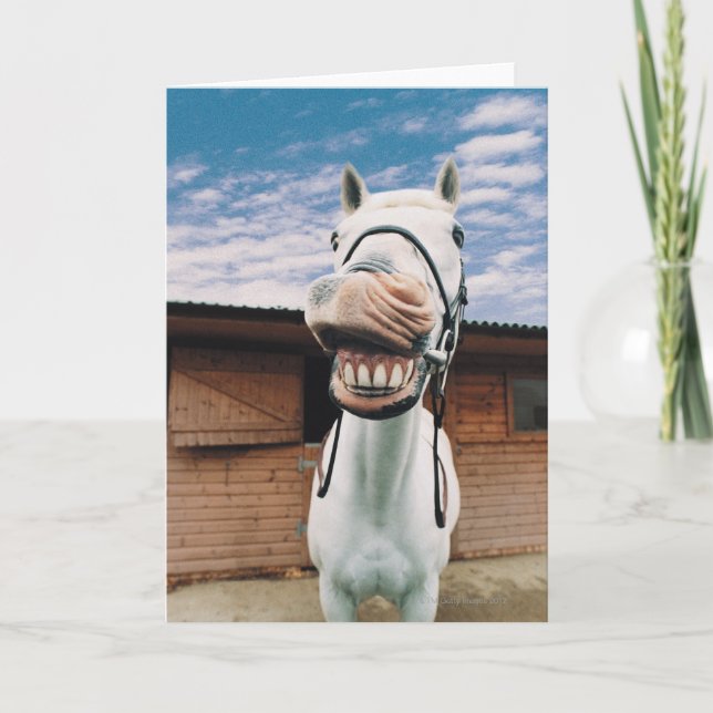 Cartão Fechamento de Cavalo com Boca Aberta (Frente)