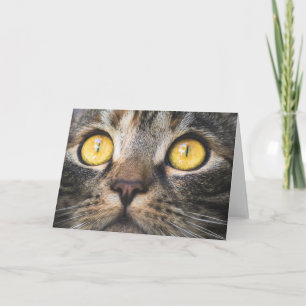 Cartão Fechamento de Gato com Olhos Amarelos