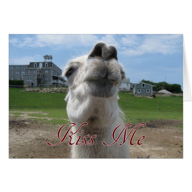 Cartão Fechamento do Kiss Me Llama (Frente Horizontal)