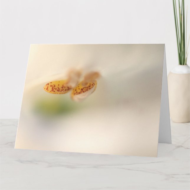 Cartão Fechar a Foxglove (Frente)