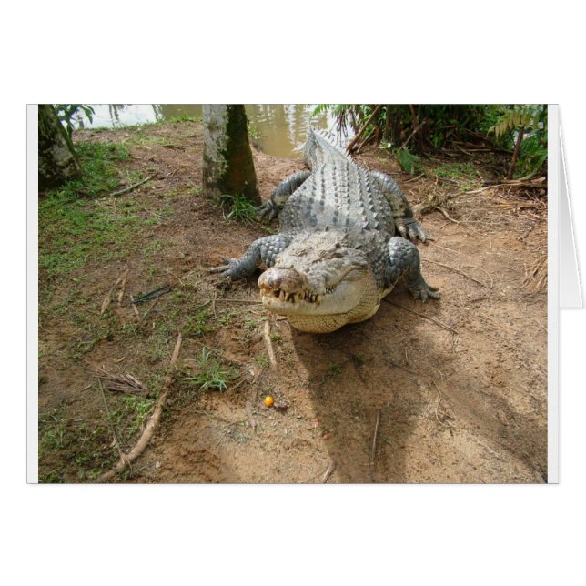 Cartão Fechar Chamada (Frente Horizontal)