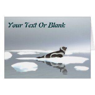 Cartão Fecho De Friso No Gelo