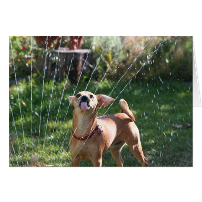 Cartão Felicidade (Frente Horizontal)