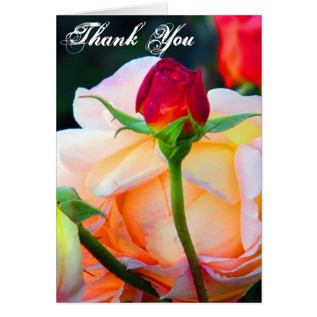 Cartão Felicidade_ (Frente)